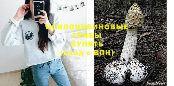 тгк Ладушкин