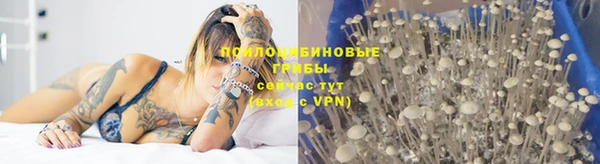 а пвп мука Лабытнанги
