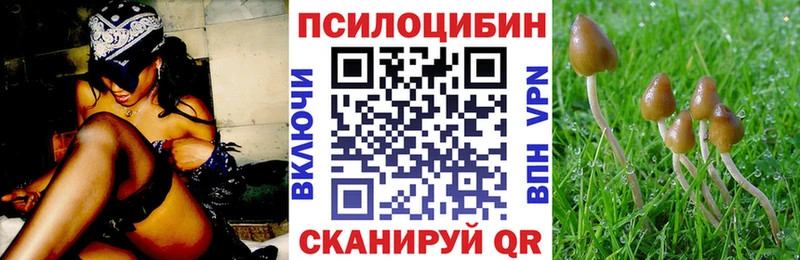 MEGA   купить наркотики сайты  Ядрин  Псилоцибиновые грибы Cubensis 
